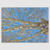 Akseli Gallen-Kallela - Crack Willow und Blue Bird Seidenpapier (Vorderseite)