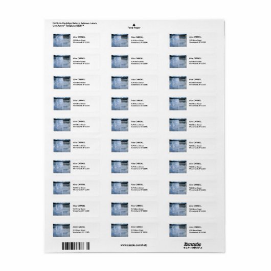 Akseli Gallen-Kallela - Keitele-See (Vorne)