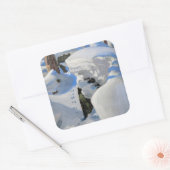 Akseli Gallen-Kallela - Lair of the Lynx Quadratischer Aufkleber (Umschlag)