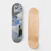 Akseli Gallen-Kallela - Lair of the Lynx Skateboard (Vorderseite)