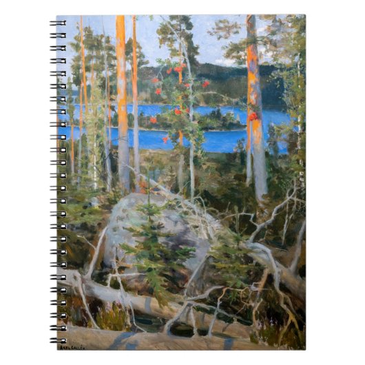 Akseli Gallen-Kallela - See in der Wildnis Notizblock (Vorderseite)
