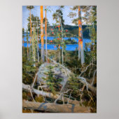 Akseli Gallen-Kallela - See in der Wildnis Poster (Vorne)