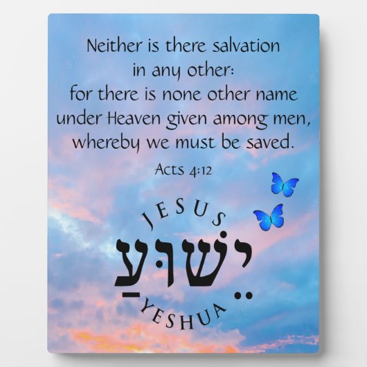 Akt 4:12 fotoplatte (Vorderseite)