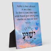 Akt 4:12 fotoplatte (Seite)