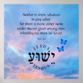 Akt 4:12 poster (Vorne)