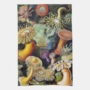 Aktinien von Ernst Haeckel Küchentuch