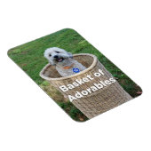 Aktionskorb Adorables Adorable Hunde 4 Hillary Mag Magnet (Rechte Seite)