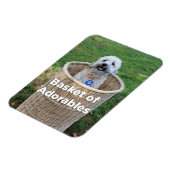 Aktionskorb Adorables Adorable Hunde 4 Hillary Mag Magnet (Linke Seite)