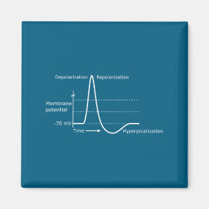Aktionspotential Neurowissenschaften Neurotransmit Magnet