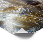 Aktives gelbes Labrador-Splashing: Fotografie von  (Ecke)