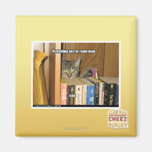 Aktivieren der Tür des geheimen Raums Magnet