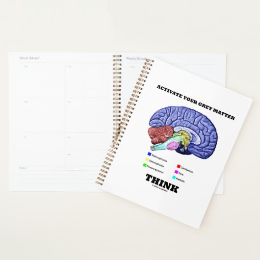 Aktivieren Sie Ihre graue Materie denken anatomisc Planer (Anzeige)