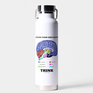 Aktivieren Sie Ihre graue Materie denken anatomisc Trinkflasche