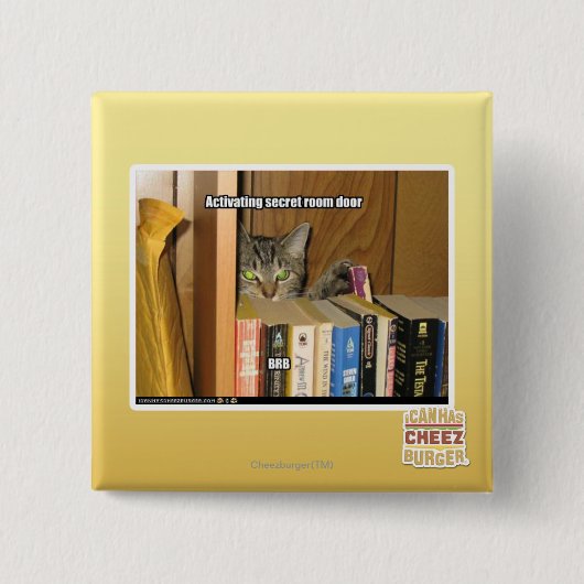 Aktivierende geheime Raum-Tür Button (Vorderseite)