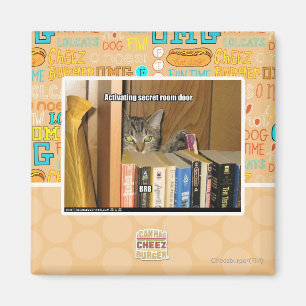 Aktivierende geheime Raum-Tür Magnet