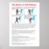 Aktualisierte Grundlagen des Selbstverteidigungspa Poster (Vorne)
