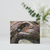 Aktuelles Foto Postkarte (Stehend Vorderseite)