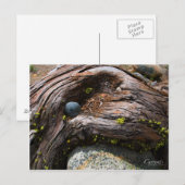 Aktuelles Foto Postkarte (Vorne/Hinten)