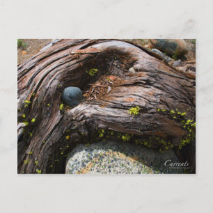 Aktuelles Foto Postkarte