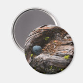 Aktuelles Magnet (Vorderseite/Rückseite)