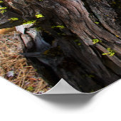 Aktuelles Poster (Ecke)