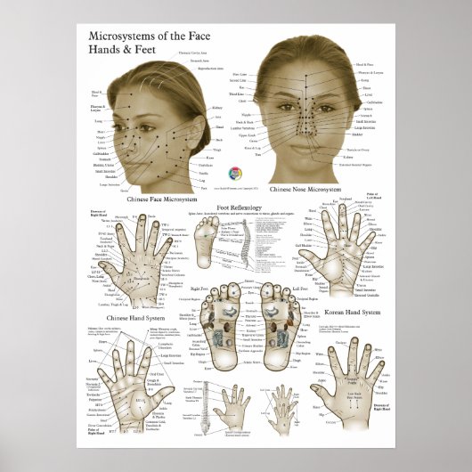 Akupressurpunkte Gesicht Hand Füße Poster (Vorne)