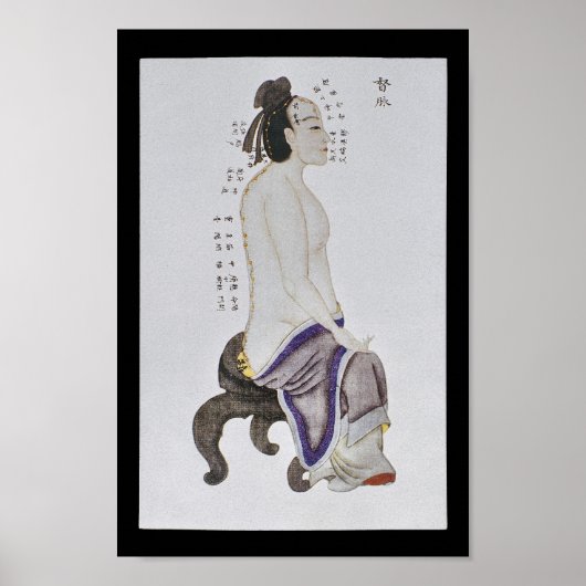 Akupunktur du Mai Meridian Poster (Vorne)