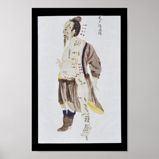 Akupunktur Gall Blase Meridian Foot Shaoyang Poster (Vorne)