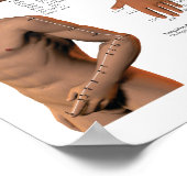 Akupunktur Meridian Point Locations Poster (Ecke)
