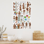 Akupunktur Meridian Points and Pathways Poster (Küche)