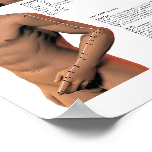 Akupunktur Meridian Points and Pathways Poster (Ecke)