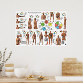 Akupunktur Meridian Points and Pathways Poster (Küche)