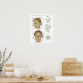 Akupunktur Reflexologie Gesichtspunkt und Kopf Mik Poster (Küche)