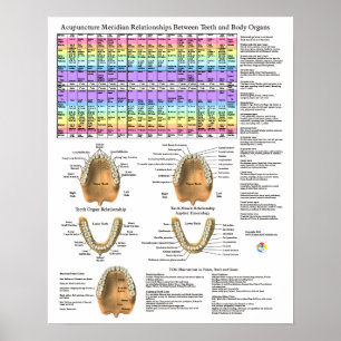 Akupunktur Zahnmedizin Zähne Meridiane Poster