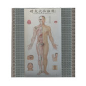 Akupunkturpunkte Vollkörpervorderwand Notizblock (Vorderseite)