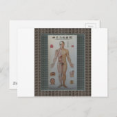 Akupunkturpunkte Vollkörpervorderwand Postkarte (Vorne/Hinten)