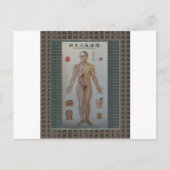 Akupunkturpunkte Vollkörpervorderwand Postkarte (Vorderseite)