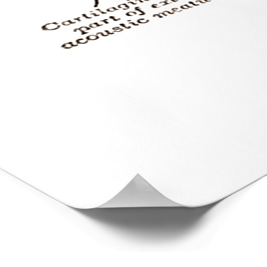 Akustische Schlaganfälle im Inneren (Anatomie des  Poster (Ecke)