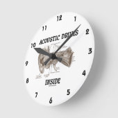 Akustisches Trommel-Innere (Anatomie des Runde Wanduhr (Winkel)