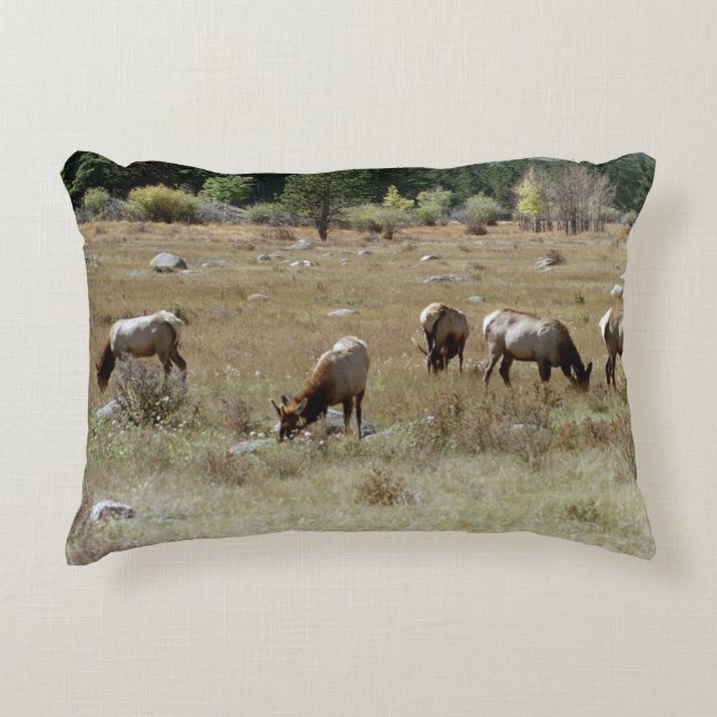 Akzent am Elch Dekokissen (Vorderseite)