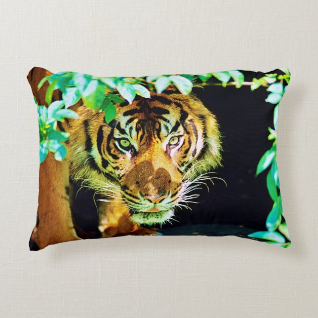 Akzent Dekokissen (Vorderseite)