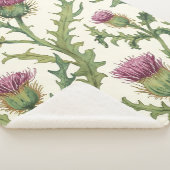 Akzent der botanischen Wildblume Sherpadecke (3/4)