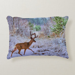 Akzentkissen Dekokissen