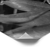 Akzentrierte Schönheit Poster (Ecke)