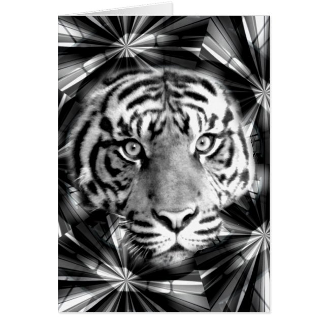 Akzeptieren von mir_ (Vorne)