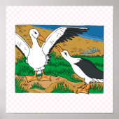 Al & Albatross Poster (Vorne)