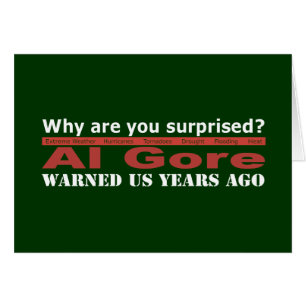 Al Gore warnte uns