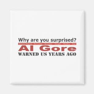Al Gore warnte uns Magnet