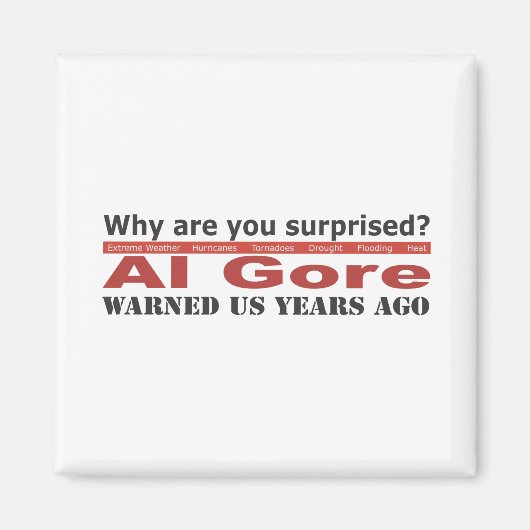 Al Gore warnte uns Magnet (Vorne)