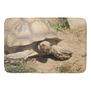 Ala Aldabra Badematte